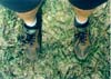 standing at the center of the USA